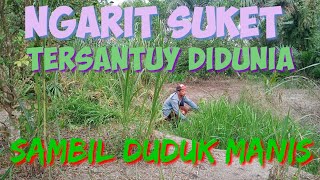 ngarit suket tersantuy di dunia bisa sambil duduk manis tapi tetep dapet bentelan besar [upl. by Razatlab]