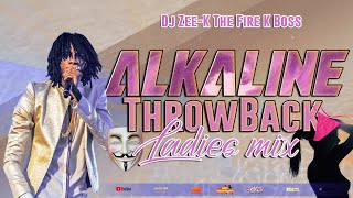 Alkaline Mix  Alkaline Throw Back Ladies Dancehall Mix 2023  100 Alkaline Female Songs [upl. by Sorips]