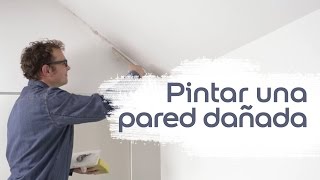 Vídeo Tutorial Cómo Pintar una Pared Dañada  Bruguer [upl. by Elohcim409]