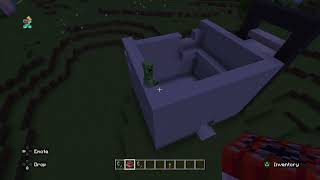 Minecraft20241206164334 [upl. by Hartmunn]