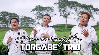 TORGABE TRIO  HOROM MA RINGISMU  Cipt Dompak Sinaga  Lagu Rohani Terpopuler [upl. by Attiuqram]