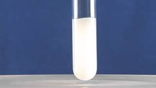 Synthesis of CdS Nanoparticles [upl. by Leanahtan539]