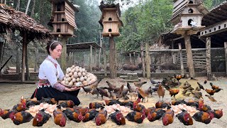 Zon sells wild chickens vang hoa king kong amazon [upl. by Dom930]