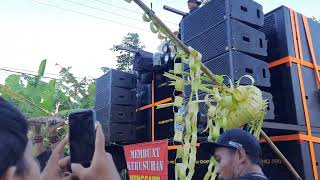 FASKHO SENGOK Blitar karnaval gembleb pogalan Trenggalek [upl. by Arymat]