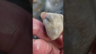 Michigan Fossil Hunting Paradise Near Me buriedtreasure fossil thefinders rockhounding [upl. by Aara]