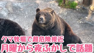 【危険生物】北海道ならではの超貴重体験…超巨大エゾヒグマとの遭遇。 北海道登別市登別温泉『クマ牧場』 月曜から夜ふかし [upl. by Phillips750]