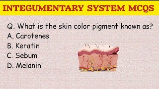 INTEGUMENTARY SYSTEM MCQS rrbnursingofficerexam mhsrb aiimsnorcetmcq [upl. by Lramaj]