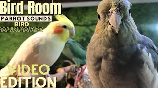 Bird Room Buddies  Happy Parrot Sounds  HD Parrot TV VIDEO EDITION  3 Hours  Bird Room TV [upl. by Dalia397]