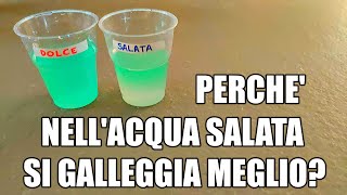 🧪💧 Acqua dolce e acqua salata dove si galleggia meglio esperimento di scienze [upl. by Zared]