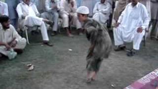 pashto mast dance 2009 [upl. by Teevens757]