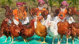 Tiger Chicken Biriyani  Giant Size Country Chicken Cooking  Morog Pulao Recipe of Grandpa [upl. by Vivienne]