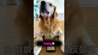 Mom ended up eating the dog’s friend Movie Recap movierecap Aking [upl. by Gamin]