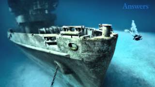 What is Thalassophobia Watch Here to Find Out [upl. by Borras]