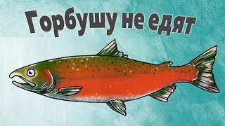 Почему на Камчатке Горбушу считают сорной рыбой и не едят [upl. by Ardnoid]