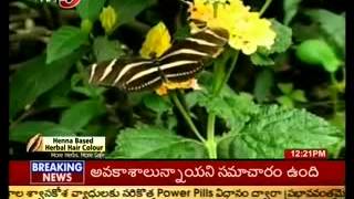 Biodiversity Conference in Hyderabad  TV5 [upl. by Tandie]