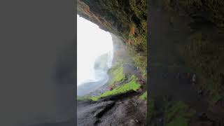 Seljalandsfoss waterfall Iceland [upl. by Lavinia]