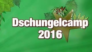 Dschungelcamp 2016 Geheime Fakten über das RTL Camp [upl. by Burley]