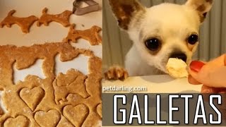 GALLETAS PARA PERROS Crema Cacahuete ★ PetDarling Golosinas 8 [upl. by Ramgad319]