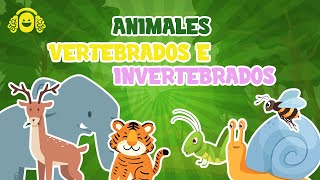 ANIMALES VERTEBRADOS E INVERTEBRADOS para niñosVídeo educativo para niños [upl. by Tertius]