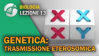 BIOLOGIA  Lezione 13  Genetica Trasmissione Eterosomica [upl. by Anniahs]