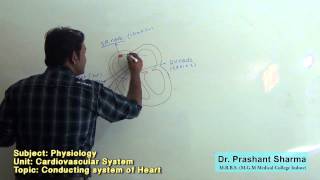 Phy Conducting system of Heart [upl. by Eneleh]