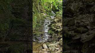 waterval Toodlemillen camping Luxemburg [upl. by Kosaka948]