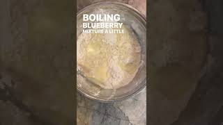 Blueberry Grunt  Nova Scotia Easy Stovetop Dessert [upl. by Lobiv]