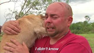 Dogs Meet Owners After Tornadoes [upl. by Utta]