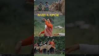 Barla apor karbi video song Malin Tissopi General son Hanse  Joy ram Bey  2024 [upl. by Katzman]