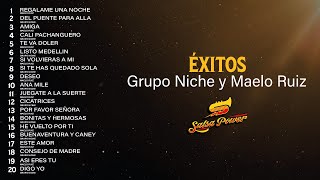 Éxitos Grupo Niche Y Maelo Ruiz  Salsa Power [upl. by Suirauqed]