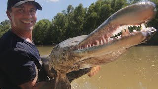 CE POISSON EST UN DINOSAURE VIVANT   Cyril Chauquet [upl. by Ecyar856]