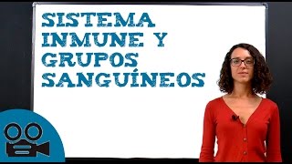 Sistema inmune y grupos sanguíneos [upl. by Paton]