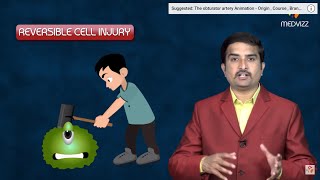 Reversible cell injury  General Pathology Animated USMLE Lecture  Dr Bhanu prakash [upl. by Willow]