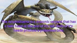 Dragon Facts  The Amphisbaena [upl. by Demah]