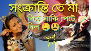 Dudh Puli Pitha Recipe In Bangla  Seddho Pithe 🥟 [upl. by Fiel]