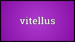 Vitellus Meaning [upl. by Loos]