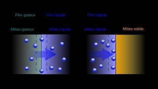 Absorption vs Adsorption 【4K】 [upl. by Ahsatam470]