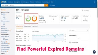 Find Expired Domains Using Ahrefs With Powerful Backlinks High Authority site  Fiverr [upl. by Neelahtak191]