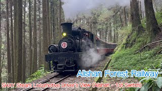 【Alishan Forest Railway】SHAY Steam Locomotive NO31 Driver’s View Alishan  1st Switch [upl. by Norvan]