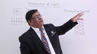 Class 12th – Polarization of Light  Wave Optics  Tutorials Point [upl. by Pyne468]