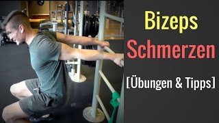 Schmerzen in der Bizepssehne unterer Teil  Schmerzen bei BizepsCurls │Mischa Kotlyar [upl. by Freddie273]