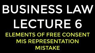 LECTURE 6 BUSINESS LAW [upl. by Rhyne]