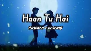 Haan Tu Hai Slowed  Reverb  KK  Pritam  Jannat  Textaudio  Lofi Songs World Official [upl. by Ybbob]