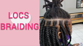 MUST WATCH LOCS BRAIDING  BOX BRAIDS OVER LOCS  DREADS [upl. by Atined]