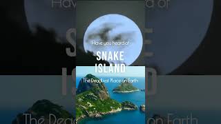 Snake Island The Deadliest Island on Earth [upl. by Bela]