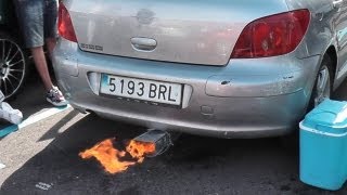 Peugeot 307 Rare Exhaust Pipe Brutal Sound [upl. by Ailecra701]