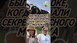 Этим коровам 🐮точно повезло🔥 kualalumpur malaysia farm [upl. by Neelav]