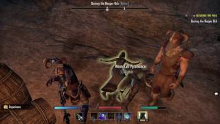 The Elder Scrolls Online Tamriel Unlimited Jorunn the Skaldking [upl. by Bordy586]