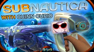 🌊 Sleepy Subnautica Stream 🌊  Quinn Curio [upl. by Norean667]