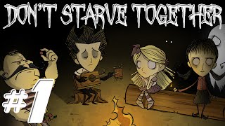 Dont Starve Together 1  Its Your Fault [upl. by Laws]